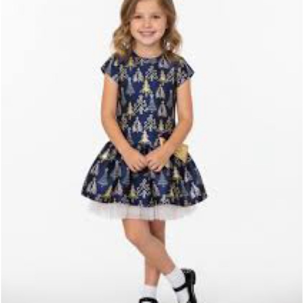 Bonnie Jean Christmas Dress | Toddler Girls 3T | Tulle Ruffle #0102